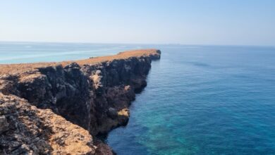 تقرير عن محمية جزر الديمانيات الطبيعية: كنز بيئي في عُمان