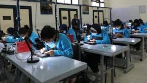 بدائل الثانوية العامة 2025