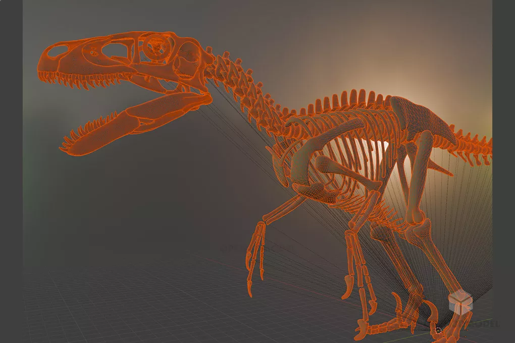 بنى تتحرك العلوم صف رابع