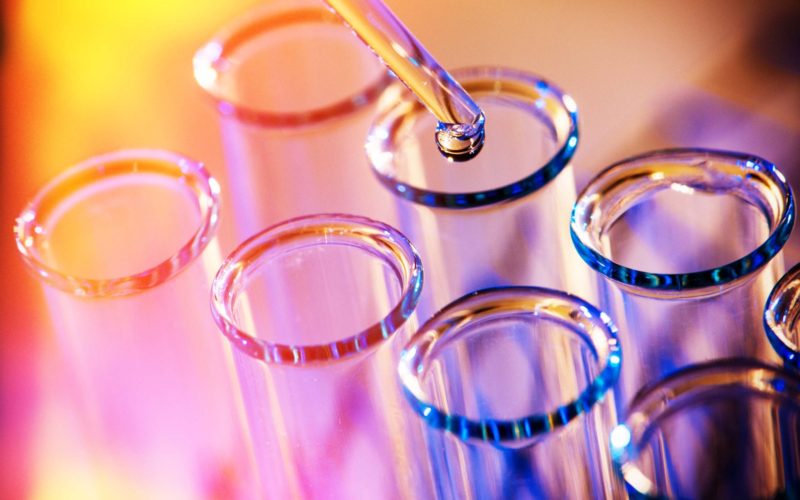 العلوم رابع أساسي وحدة ثانية