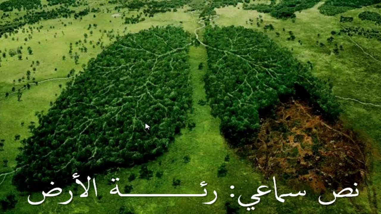 الفعل المضارع العربية لغتي