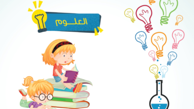 مادة العلوم للصف الرابع التعليم الأساسي