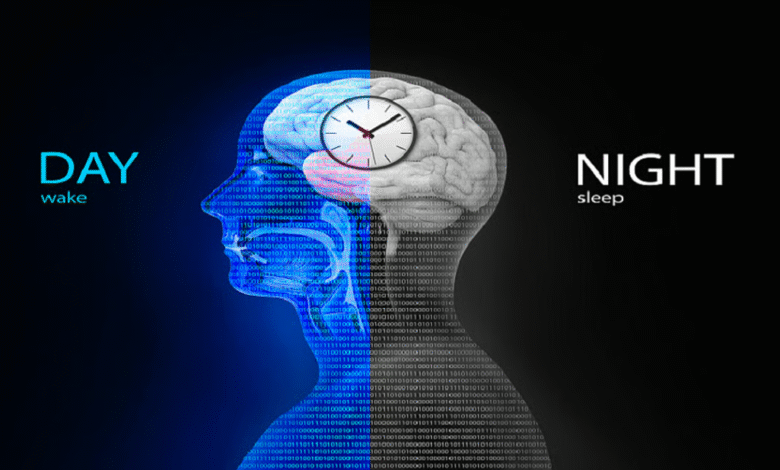 الدرس الثالث الساعة البيولوجية