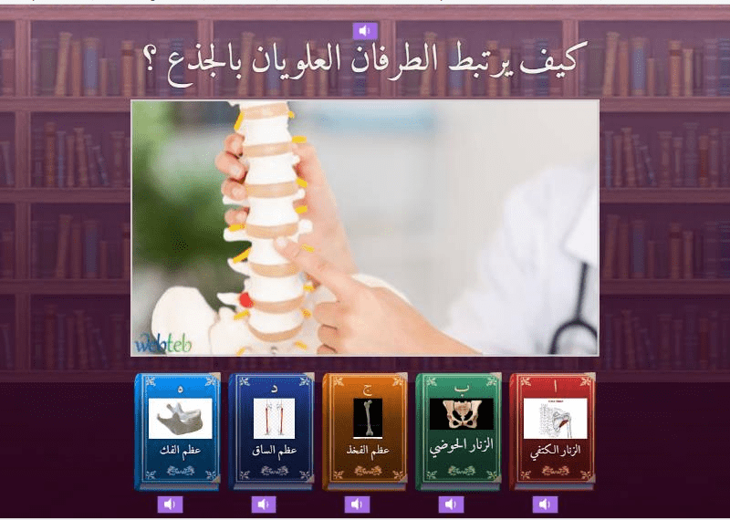 عظامي تدعمني العلوم صف رابع