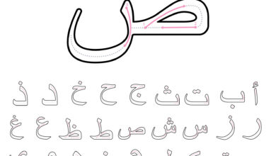 كتاب اللغة العربية صف ثاني فصل ثاني