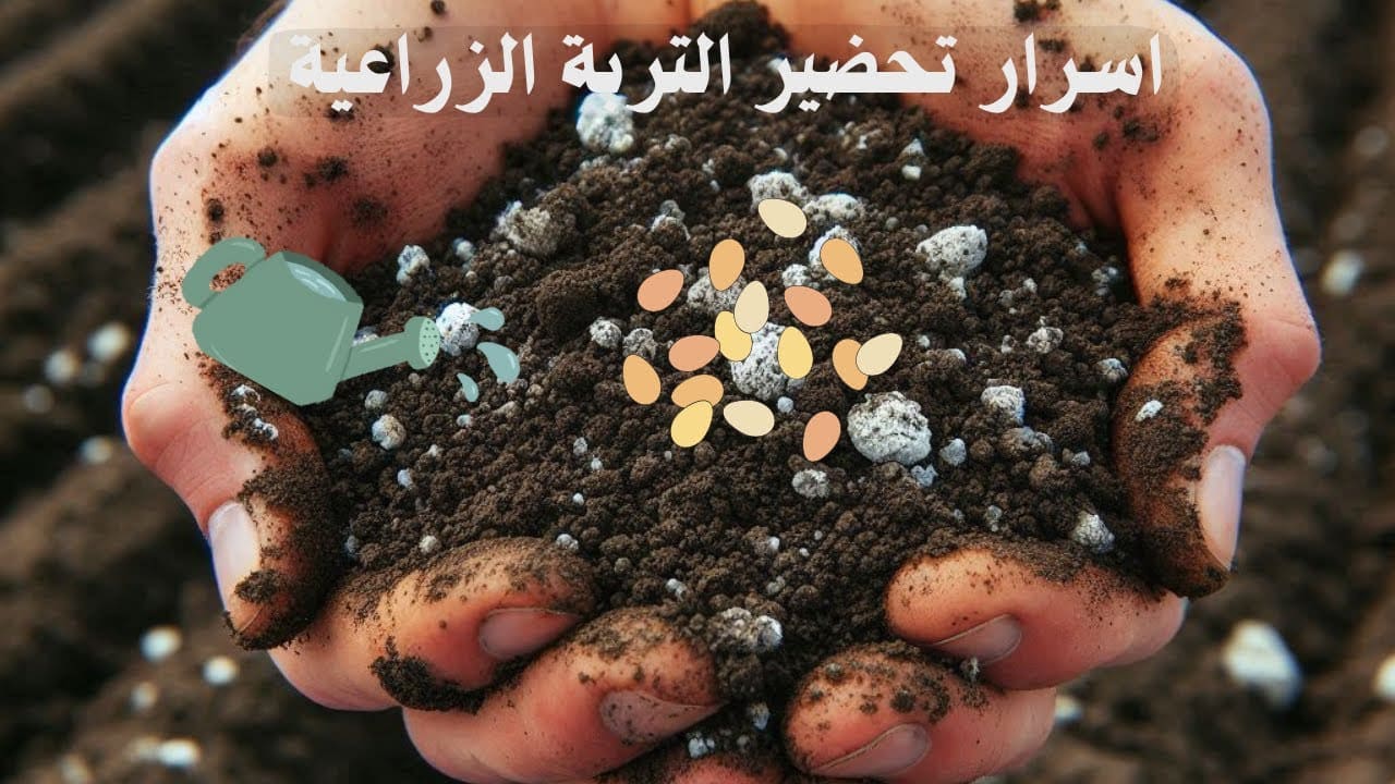 كتاب العلوم للصف الثالث الفصل الثاني