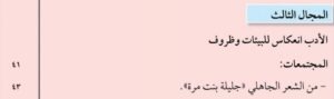 المجال الثالث: الأدب انعكاس للبيئات وظروف المجتمعات