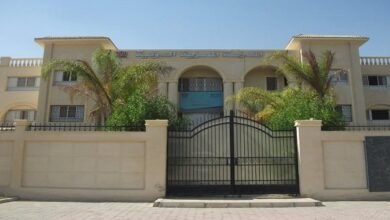 التقديم في المدرسة المصرية الدولية EIS لرياض الأطفال