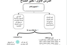 الطاقة في النظم البيئية البحرية | شرح التمثيل الضوئي والكيميائي والتنفس – الصف 12 ف1