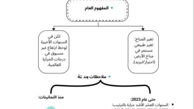 الطاقة في النظم البيئية البحرية | شرح التمثيل الضوئي والكيميائي والتنفس – الصف 12 ف1