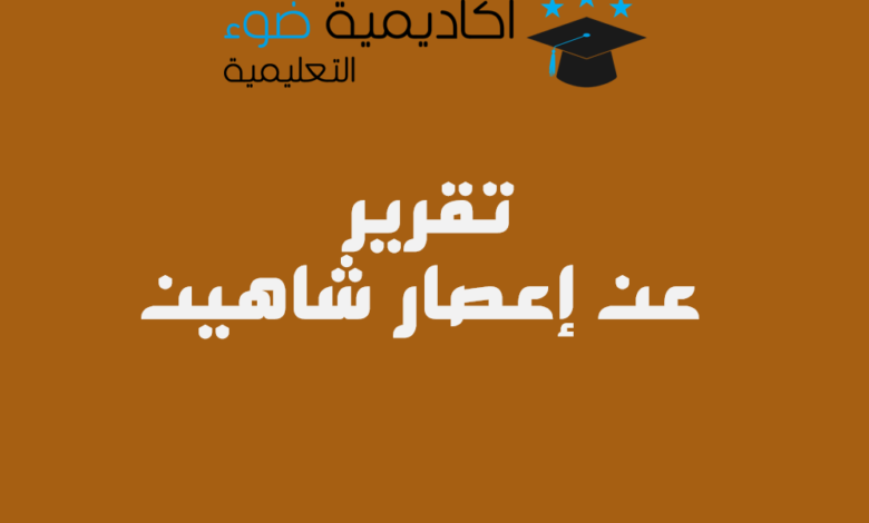 تقرير عن إعصار شاهين