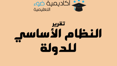 النظام الأساسي للدولة