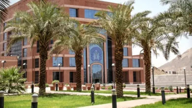 جامعة طيبة تفتح باب القبول في دبلومات الكلية التطبيقية عن بعد