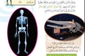 كتاب العلوم للصف الرابع