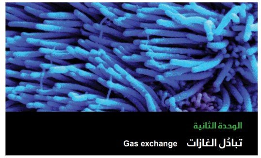 الوحدة الثانية: تبادل الغازات