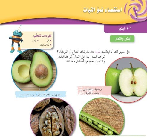 الوحدة الأولى: استقصاء نمو النبات