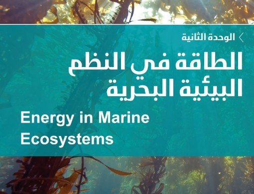 الوحدة الثانية: الطاقة في النظم البيئية البحرية 