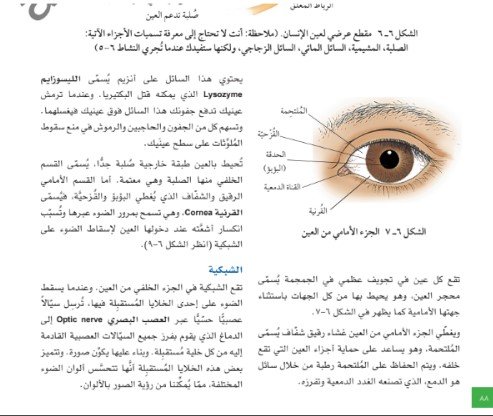 الفصل السادس: التنظيم والاتزان الداخلي في الإنسان