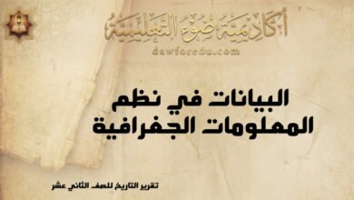 البيانات في نظم المعلومات الجغرافية (GIS)