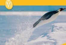 كتاب العلوم للصف السابع