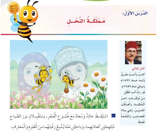 الدرس الأول: مملكة عجيبة