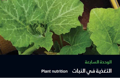 الوحدة التاسعة: النقل في النبات