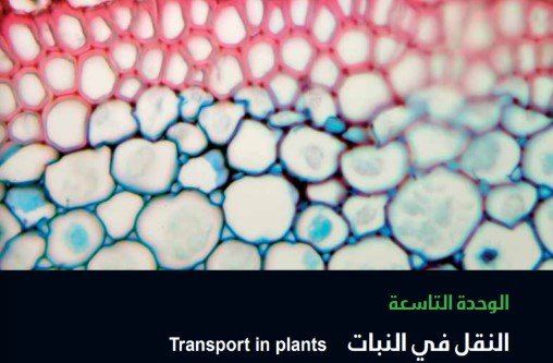 الوحدة السابعة: التغذية في النبات