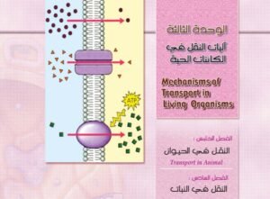 الوحدة الثالثة: آليات النقل في الكائنات الحية
