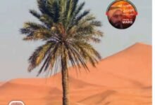 كتاب الدراسات الاجتماعية للصف الثاني