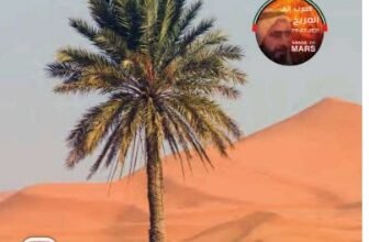 كتاب الدراسات الاجتماعية للصف الثاني