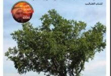 كتاب الدراسات الاجتماعية للصف السادس