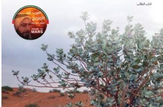 كتاب الدراسات الاجتماعية للصف السابع