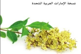 كتاب العلوم للصف الثامن