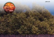 كتاب الدراسات الاجتماعية للصف الثامن