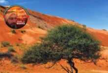 كتاب الدراسات الاجتماعية والتربية الوطنية للصف التاسع