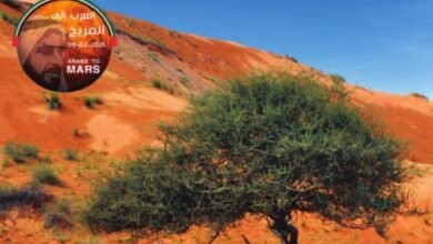 كتاب الدراسات الاجتماعية والتربية الوطنية للصف التاسع