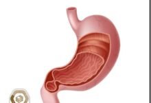 كتاب الأحياء للصف التاسع