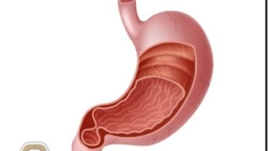 كتاب الأحياء للصف التاسع