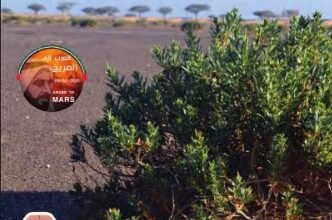 كتاب الدراسات الاجتماعية للصف الثالث