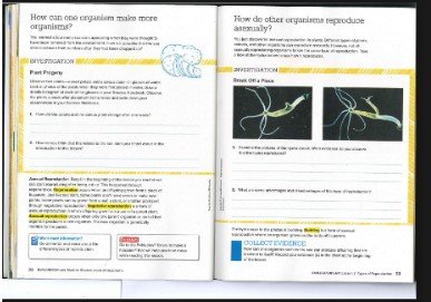 الدرس الثاني: أنواع التكاثر