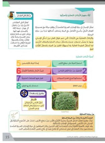 الفصل السابع: الإمارات والعالم الجديد