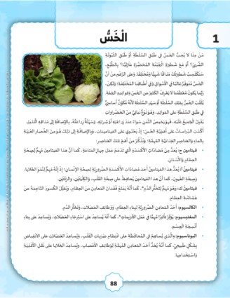 المستوى المبتدئ