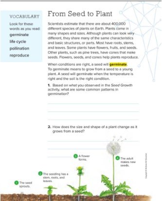 الفصل الأول: النباتات