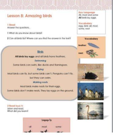 الفصل التاسع: نظرة فاحصة