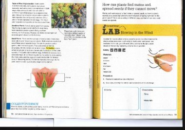 أهداف كتاب العلوم للصف السادس الفصل الدراسي الثالث منهج الإمارات 