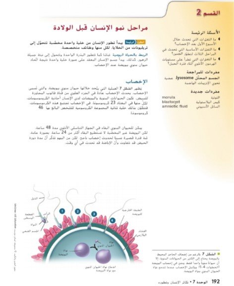 القسم الثاني: مراحل نمو الإنسان قبل الولادة