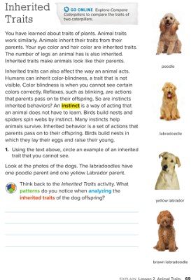 الفصل الثاني: الحيوانات