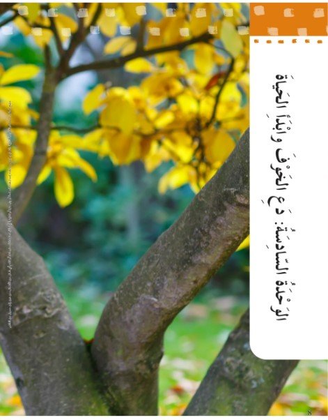 الوحدة السادسة: دع الخوف وابدأ الحياة