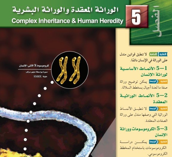 الفصل الخامس: الوراثة المعقدة والوراثة البشرية