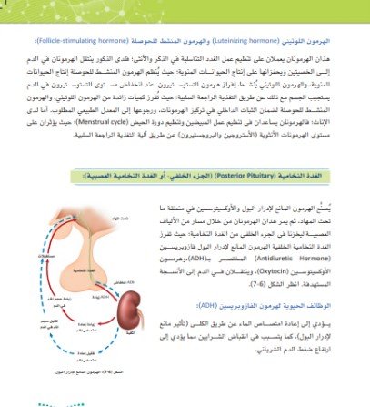 الفصل السابع: جهاز الغدد الصماء
